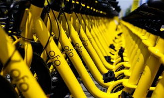 ofo 回應異?？圪M 抖音回應廣告業務被停 余額寶總規模達 1.8 萬億元